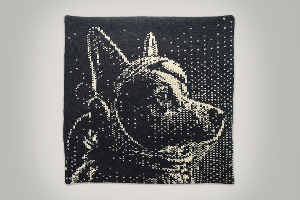 Astro Doggo Knitted Cushion Cover